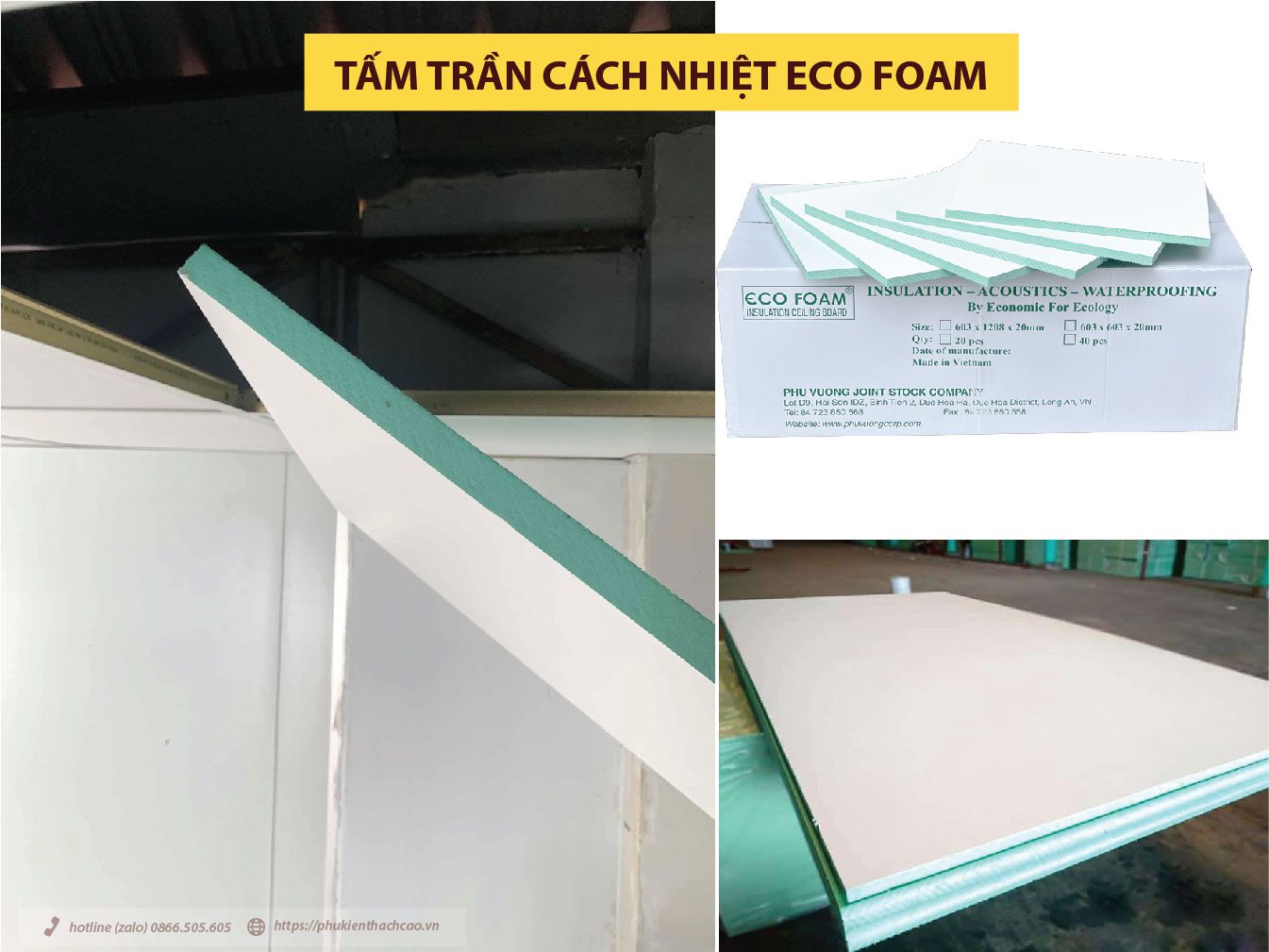 ntd việt nam